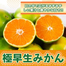 佐賀県産 極早生みかん 約10kg(吉野ヶ里町)