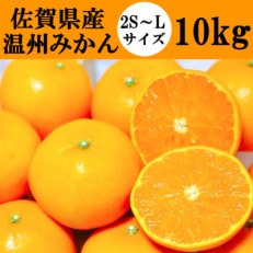 佐賀県産温州みかん 10kg(吉野ヶ里町)