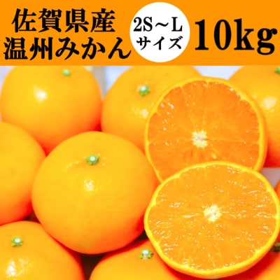 佐賀県産温州みかん 10kg(吉野ヶ里町)