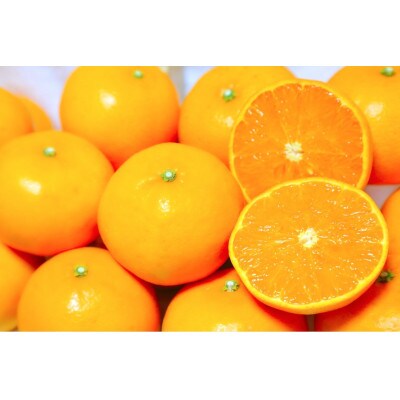 佐賀県産温州みかん 5kg(吉野ヶ里町)