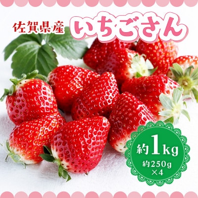 いちごさん 合計約1kg(約250g×4P)(吉野ヶ里町)