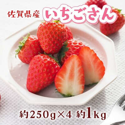 いちごさん 合計約1kg(約250g×4P)(吉野ヶ里町)