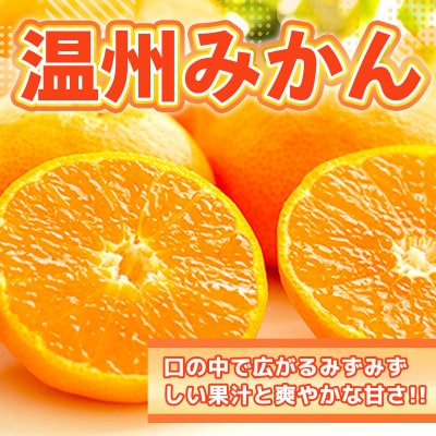 吉野ヶ里町産 温州みかん 約2.5kg