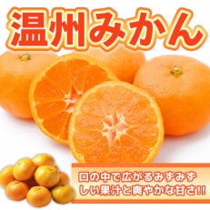 吉野ヶ里町産 温州みかん 約12kg