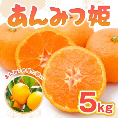 佐賀県産 あんみつ姫 約5kg (吉野ヶ里町)