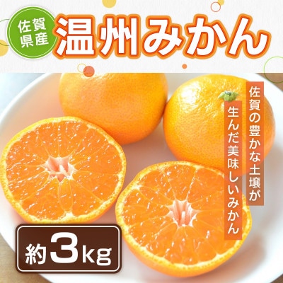 佐賀県産温州みかん約3kg(吉野ヶ里町)