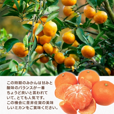 佐賀県産温州みかん約3kg(吉野ヶ里町)