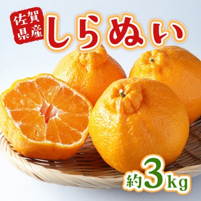 佐賀県産不知火(しらぬい) 約3kg(吉野ヶ里町)