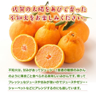 佐賀県産不知火(しらぬい) 約3kg(吉野ヶ里町)