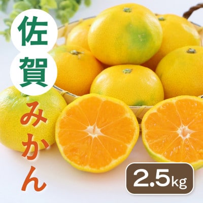佐賀みかん 約2.5kg(吉野ヶ里町)
