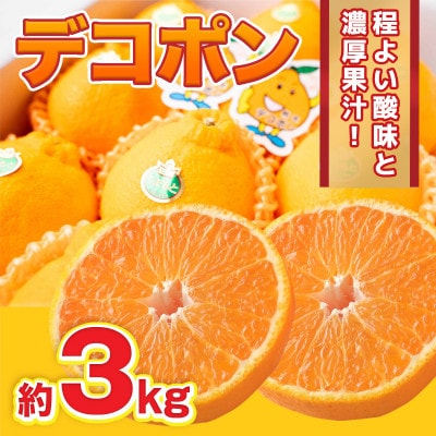 【2026年12月より順次発送】デコポン 約3kg (吉野ヶ里町)