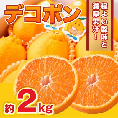 【2026年12月より順次発送】デコポン 約2kg (吉野ヶ里町)