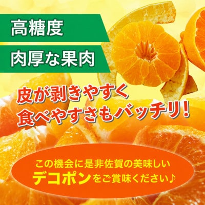 【2026年12月より順次発送】デコポン 約2kg (吉野ヶ里町)