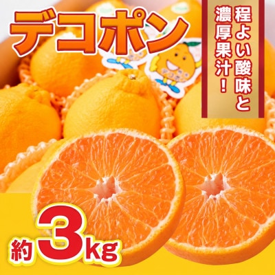 【2027年2月より順次発送】デコポン 約3kg (吉野ヶ里町)