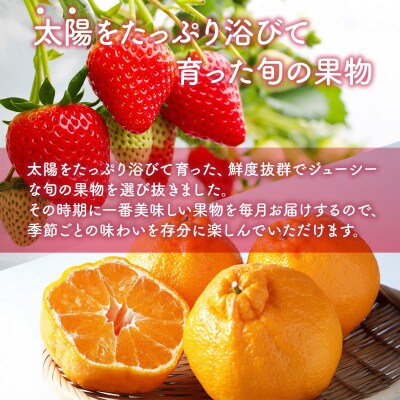 【発送月固定定期便】旬の果物3か月定期便(吉野ヶ里)全3回