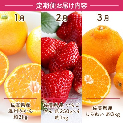 【発送月固定定期便】旬の果物3か月定期便(吉野ヶ里)全3回