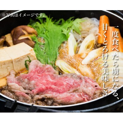 佐賀牛切り落とし500g(吉野ヶ里町)