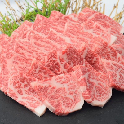 A4 A5 佐賀牛希少部位おまかせ9種堪能セット(9種×200g)合計1.8kg(吉野ヶ里町)