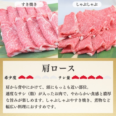 【佐賀牛】赤身&霜降り スライス食べ比べセット(吉野ヶ里町)