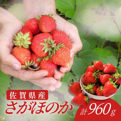 【みずみずしい果肉】さがほのかレギュラーパック4P(240g×4)吉野ヶ里町