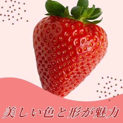 やさしい味わい!いちごさん 平パック×4P 約1kg