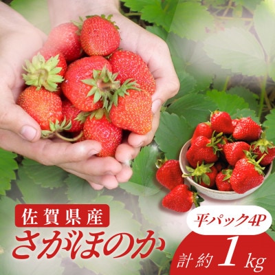 みずみずしい果肉!さがほのか平パック4P 約1kg