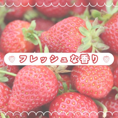 みずみずしい果肉!さがほのか平パック4P 約1kg