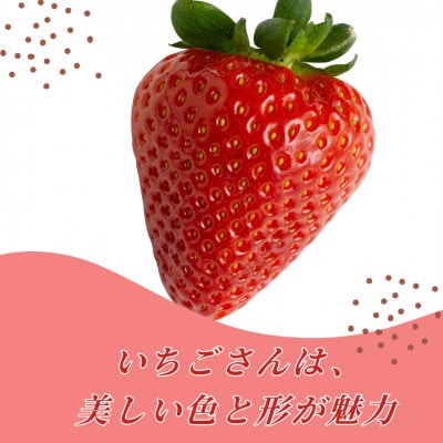 佐賀県自慢の2種!さがほのか&いちごさん 平パック4P 約1kg