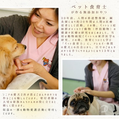 犬のおやつ　お砂糖不使用ドライりんご8個