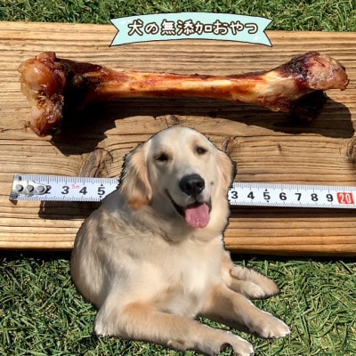 犬のおやつ☆天然いのししの骨ガム☆大型犬向け