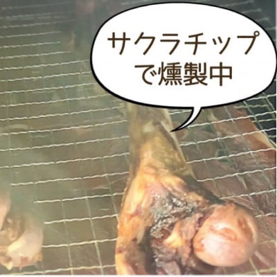 犬のおやつ☆天然いのししの骨ガム☆大型犬向け
