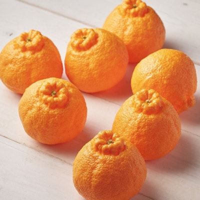 【2026年発送先行受付】佐賀産かんきつ・デコポン15-20玉(約5kg箱)(吉野ヶ里町)