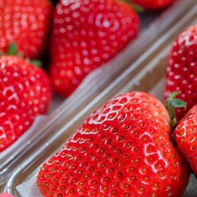 佐賀産の期待の新品種!いちごさん2パック(吉野ヶ里町)