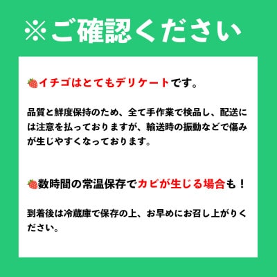 【2026年発送先行受付】佐賀産 いちごさん4パック(吉野ヶ里町)