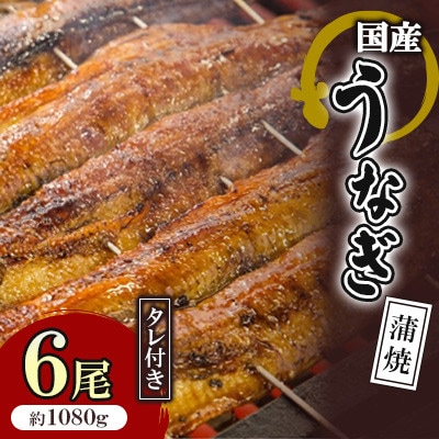 国産うなぎ蒲焼 6枚セット(約1080g)