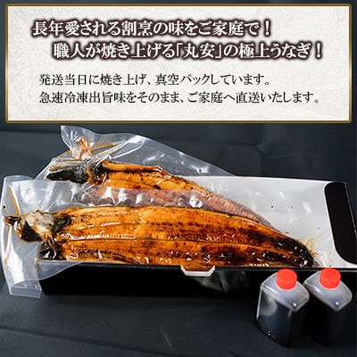 国産うなぎ蒲焼 6枚セット(約1080g)
