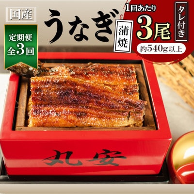 【毎月定期便】ふっくらジューシー!丸安のこだわり国産うなぎ蒲焼 3枚セット　全3回
