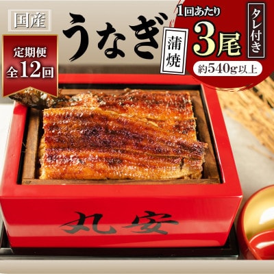【毎月定期便】ふっくらジューシー!丸安のこだわり国産うなぎ蒲焼 3枚セット　全12回