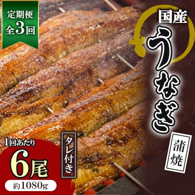 【毎月定期便】国産うなぎ蒲焼 6枚セット(約1080g)全3回