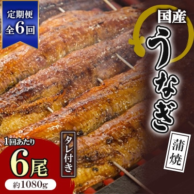 【毎月定期便】国産うなぎ蒲焼 6枚セット(約1080g)全6回