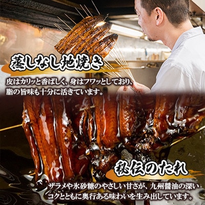 【毎月定期便】国産うなぎ蒲焼 6枚セット(約1080g)全6回
