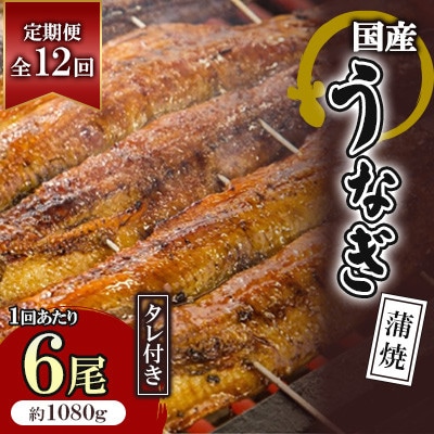 【毎月定期便】国産うなぎ蒲焼 6枚セット(約1080g)全12回
