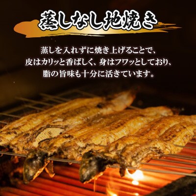 【毎月定期便】国産うなぎの白焼 6枚セット(約1080g)全12回