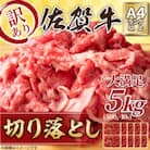 訳アリ!【A4～A5】佐賀牛切り落とし　5kg(500g×10パック)(吉野ヶ里町)