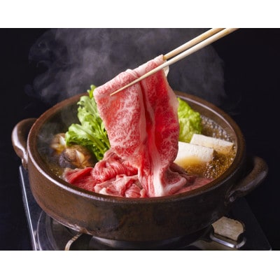 艶さし!【A4～A5】佐賀牛大判霜降り贅沢切り落とし 500g(250g×2p)(吉野ヶ里町)