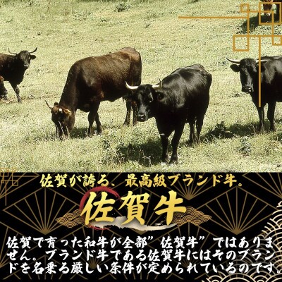 艶さし!【A4～A5】佐賀牛 4種 詰め合わせ セット 1.4kg(吉野ヶ里町)