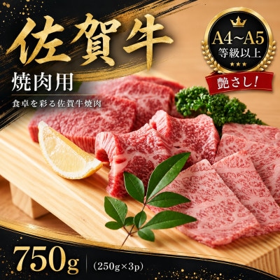 艶さし!【A4～A5】佐賀牛焼肉用　750g(250g×3p)(吉野ヶ里町)