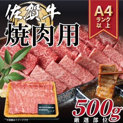 【毎月定期便】艶さし!【A4～A5】佐賀牛焼肉用　500g(吉野ヶ里町)全12回