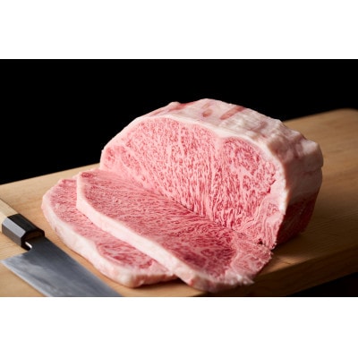 【毎月定期便】艶さし!【A4～A5】佐賀牛サーロインステーキ　500g(吉野ヶ里町)全6回