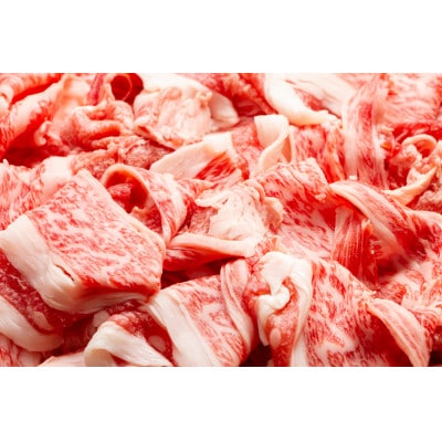 【毎月定期便】【さとふる限定】艶さし!【A4～A5】佐賀牛切り落とし1kg(吉野ヶ里町)全12回